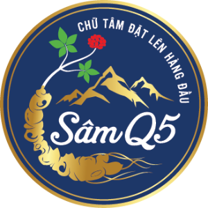 Sâm Q5