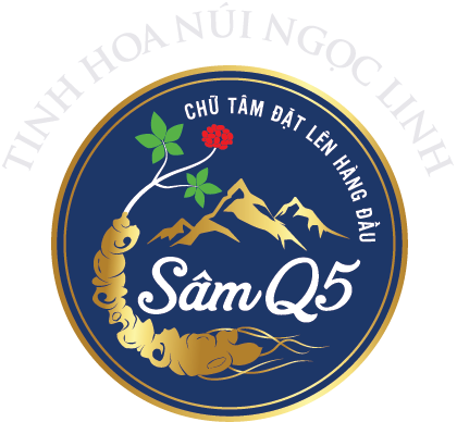 Sâm Q5